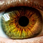 Augen lasern Augen-Iris